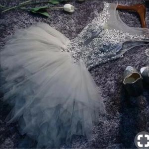 Lace Short Tulle Tutu Dress